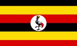 37 Chinese nationals arrested in major tele fraud in Uganda
